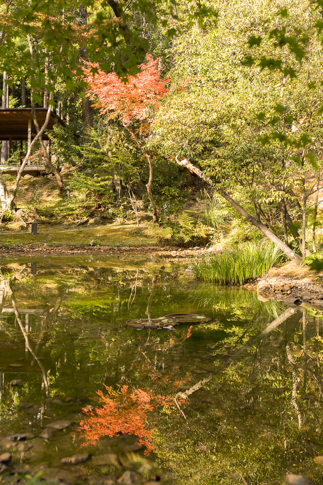 Un automne au Japon (223)