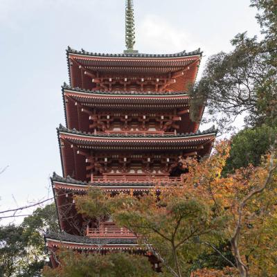 Un automne au Japon (224)