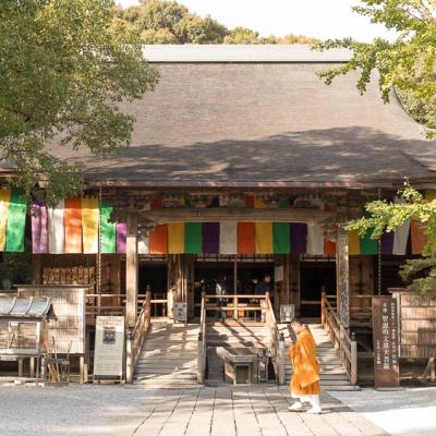 Un automne au Japon (225)