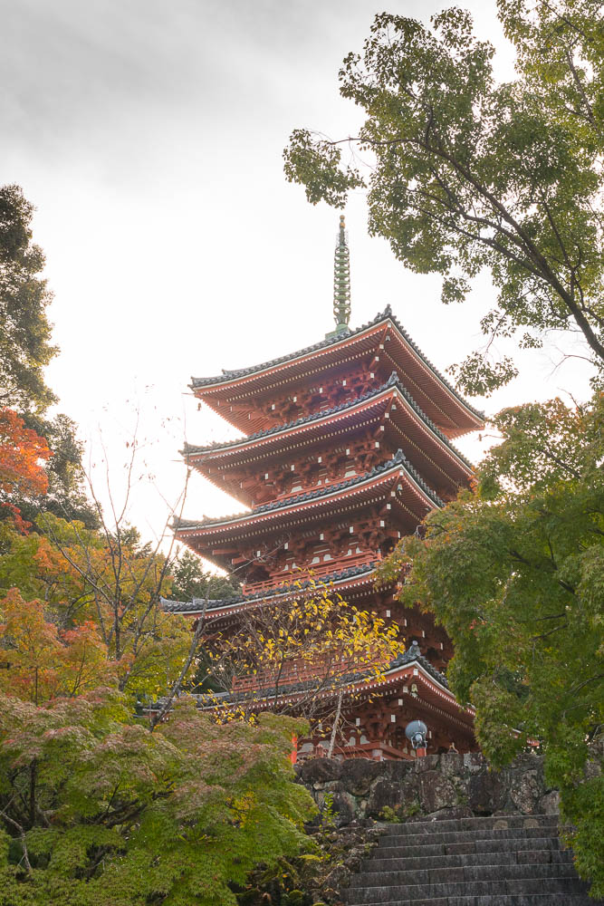 Un automne au Japon (226)