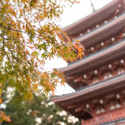 Un automne au Japon (227)