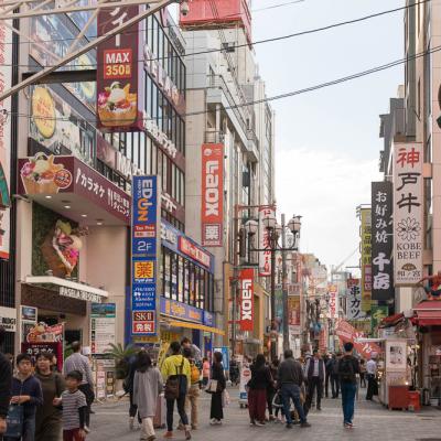 Un automne au Japon (230)