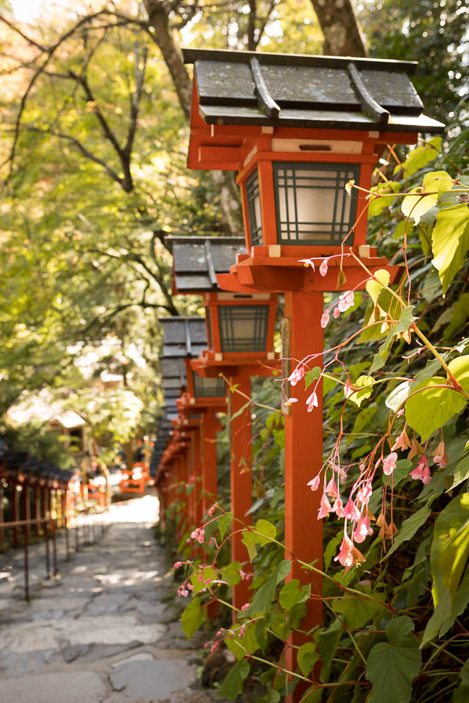 Un automne au Japon (35)