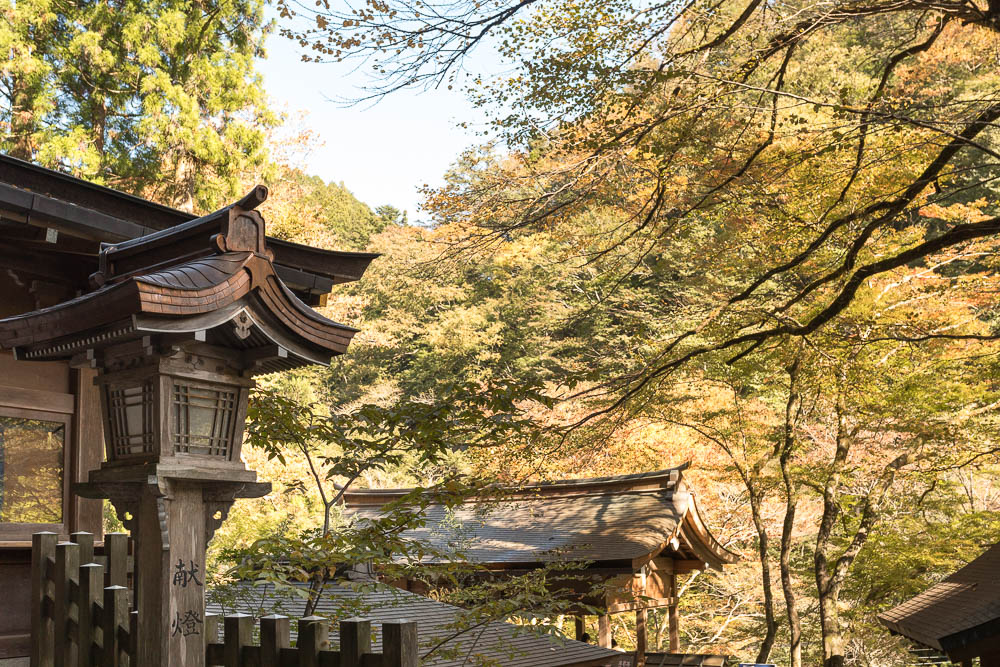 Un automne au Japon (37)