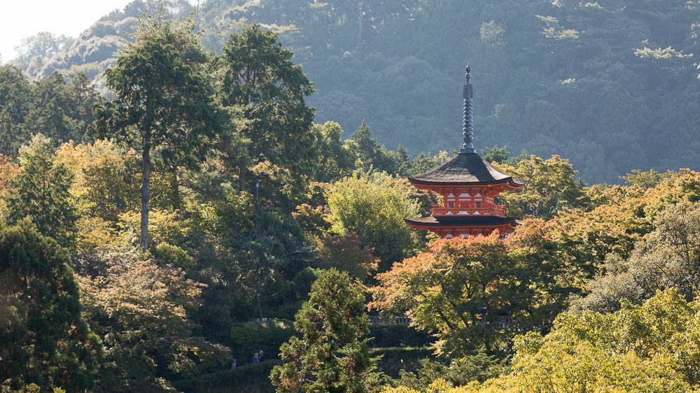 Un automne au Japon (48)