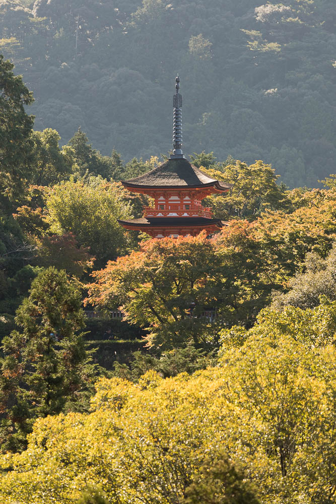 Un automne au Japon (49)