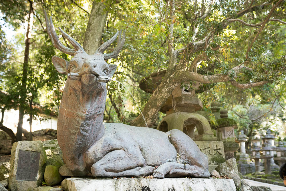 Un automne au Japon (5)