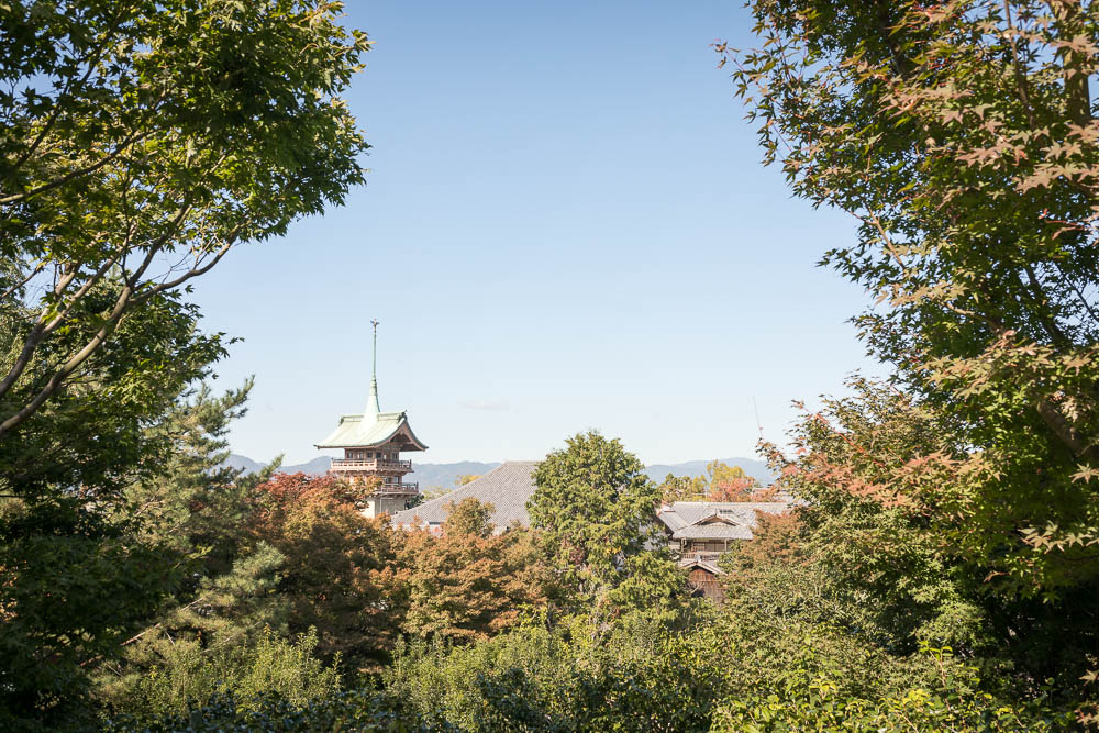 Un automne au Japon (68)