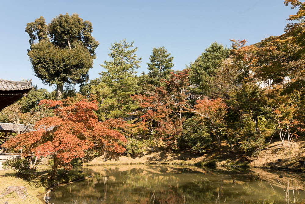 Un automne au Japon (76)