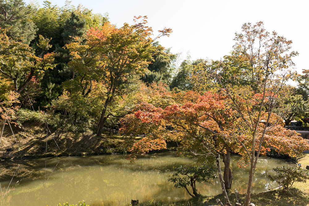 Un automne au Japon (78)