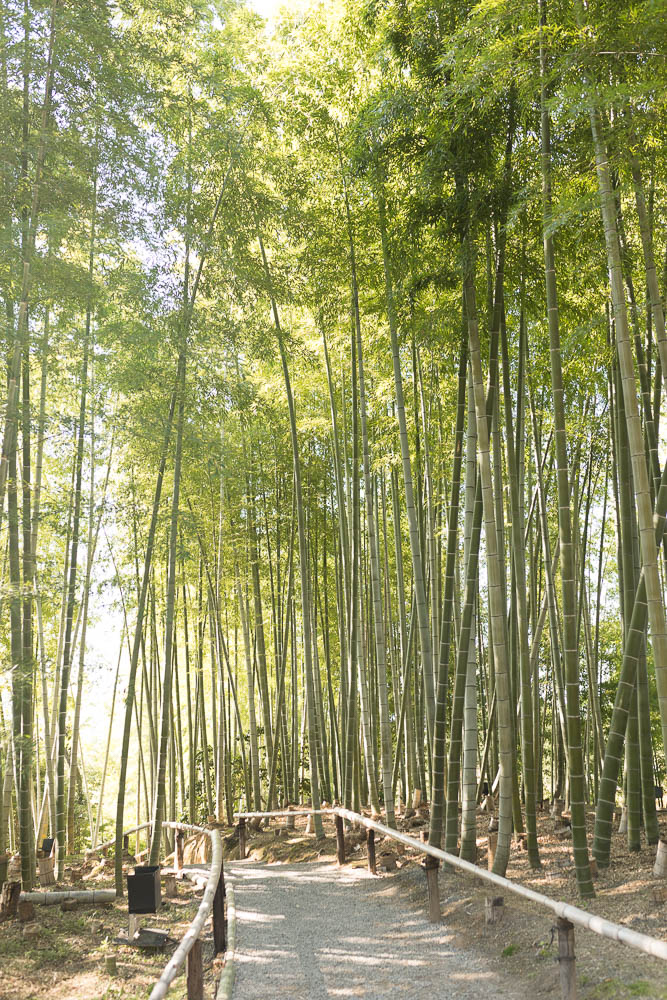 Un automne au Japon (81)