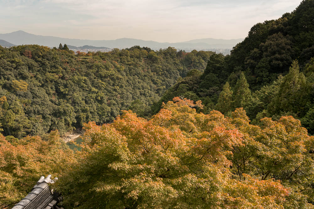 Un automne au Japon (88)