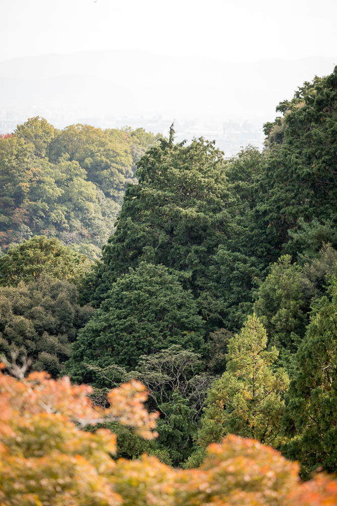 Un automne au Japon (90)