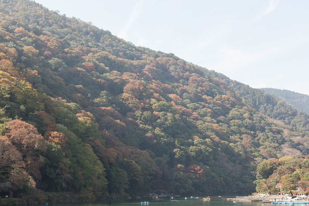 Un automne au Japon (95)