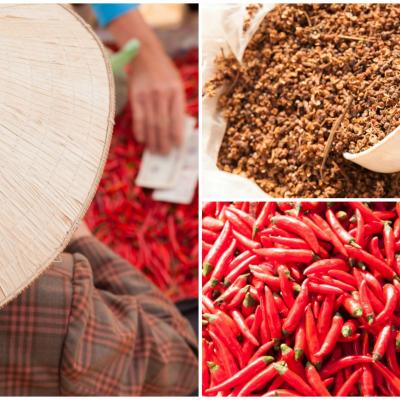 Nord Vietnam à moto