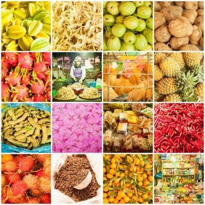 Nord Vietnam à moto